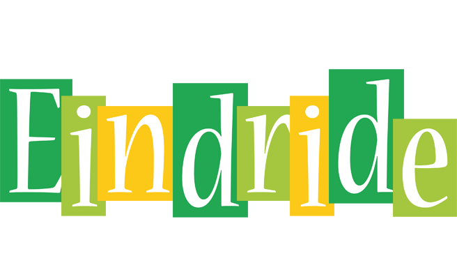 Eindride lemonade logo