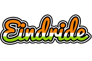 Eindride mumbai logo