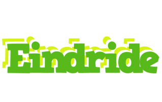 Eindride picnic logo