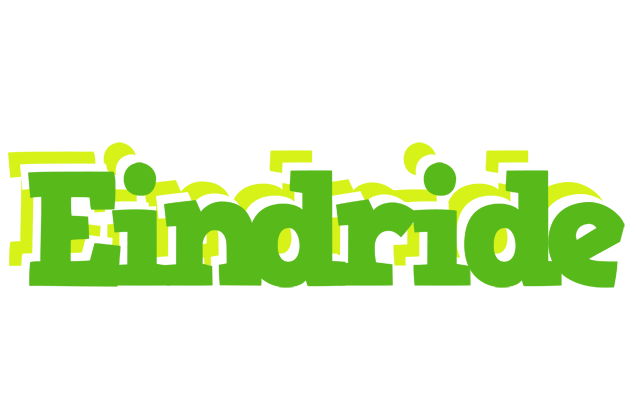 Eindride picnic logo