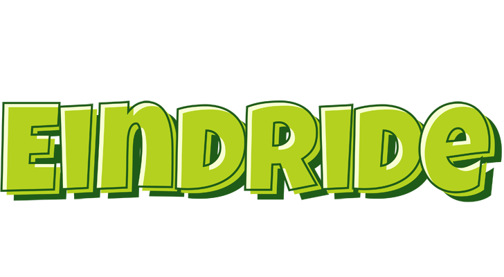 Eindride summer logo
