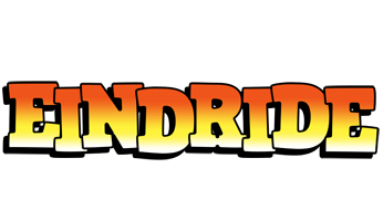 Eindride sunset logo