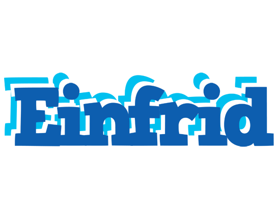 Einfrid business logo