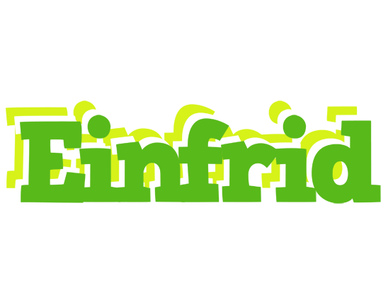 Einfrid picnic logo