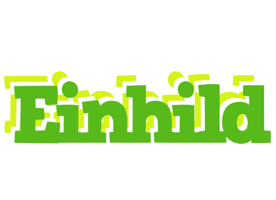 Einhild picnic logo
