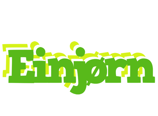 Einjørn picnic logo