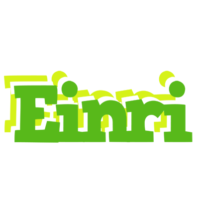 Einri picnic logo