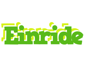 Einride picnic logo