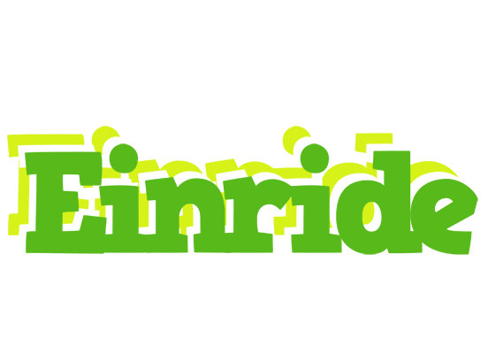 Einride picnic logo