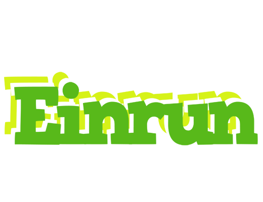 Einrun picnic logo