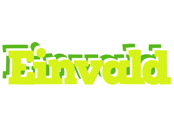 Einvald citrus logo