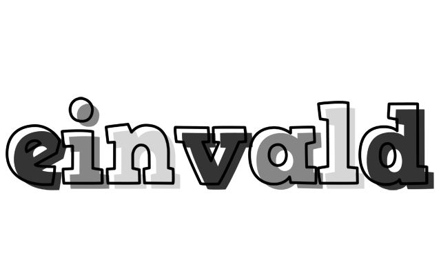 Einvald night logo