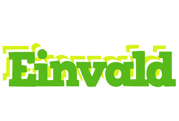 Einvald picnic logo
