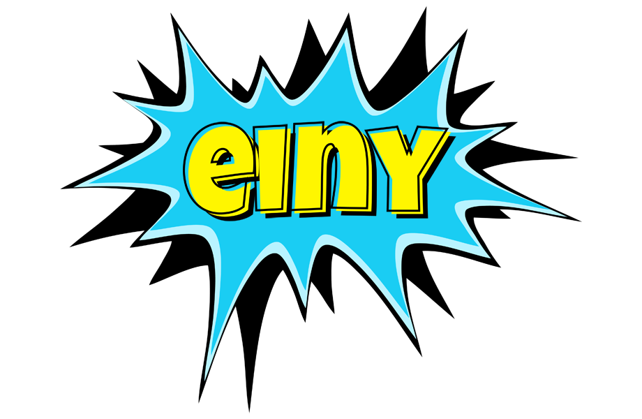 Einy amazing logo