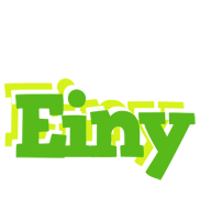 Einy picnic logo