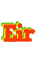 Eir bbq logo