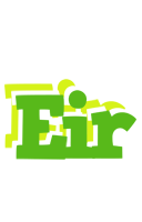 Eir picnic logo