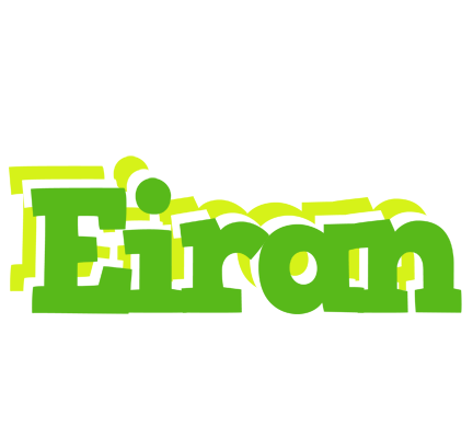 Eiran picnic logo