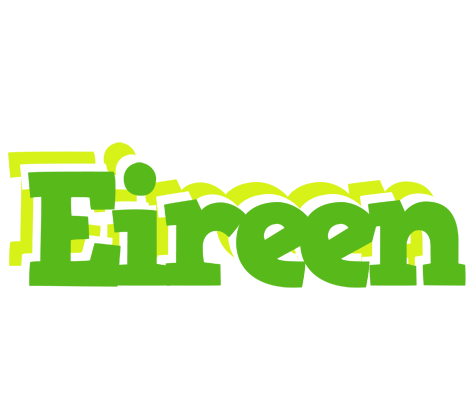 Eireen picnic logo