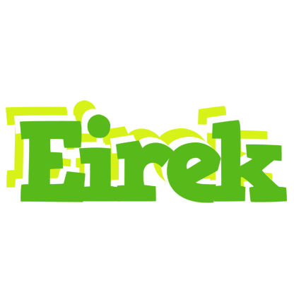 Eirek picnic logo