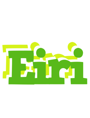 Eiri picnic logo