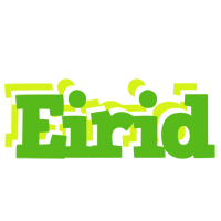 Eirid picnic logo