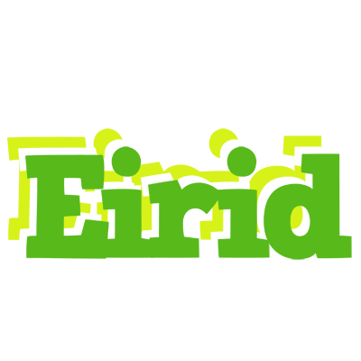 Eirid picnic logo