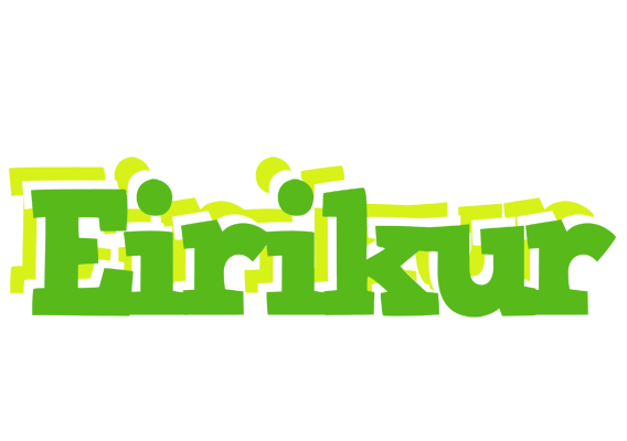 Eirikur picnic logo