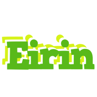 Eirin picnic logo