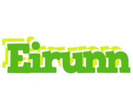 Eirunn picnic logo