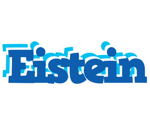 Eistein business logo