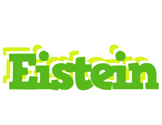 Eistein picnic logo