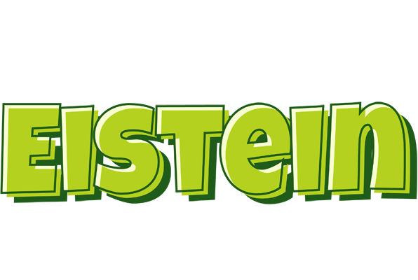 Eistein summer logo