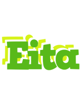 Eita picnic logo