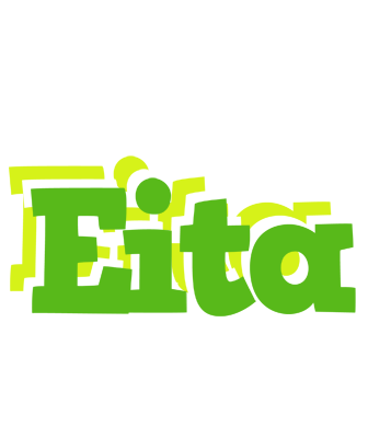 Eita picnic logo