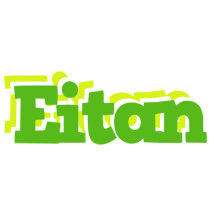 Eitan picnic logo