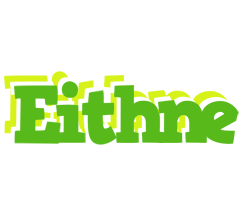 Eithne picnic logo