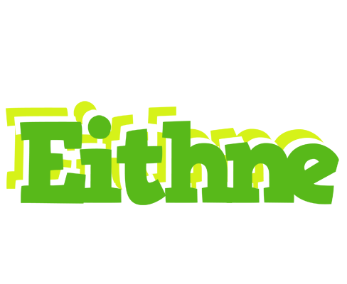 Eithne picnic logo