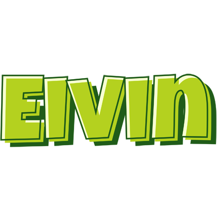Eivin summer logo