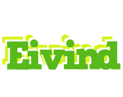 Eivind picnic logo