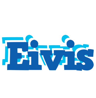 Eivis business logo