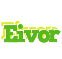 Eivor picnic logo