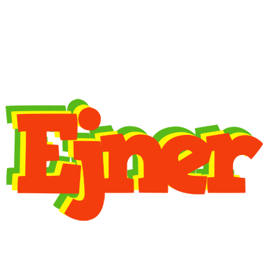 Ejner bbq logo