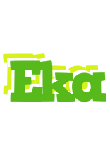 Eka picnic logo