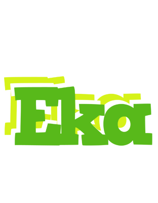Eka picnic logo