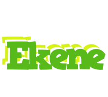 Ekene picnic logo