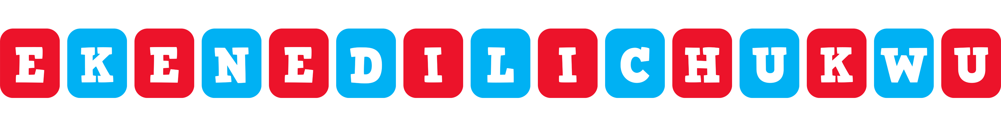 Ekenedilichukwu diesel logo