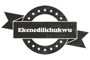 Ekenedilichukwu grunge logo