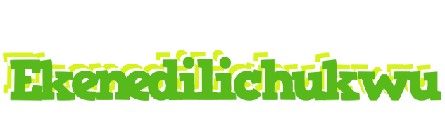 Ekenedilichukwu picnic logo