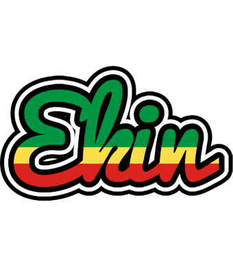 Ekin african logo